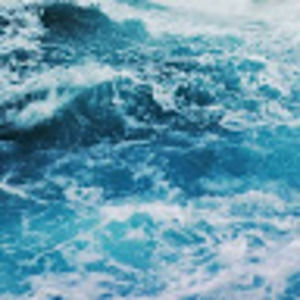 Meet your Posher, Paree